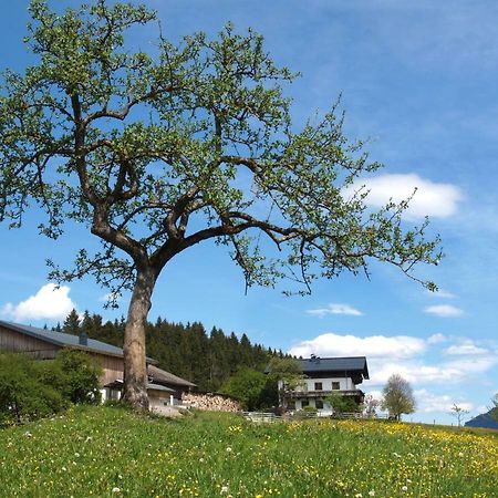 Vila Unterhofgut Goldegg Exteriér fotografie