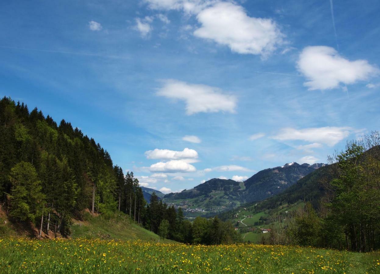 Vila Unterhofgut Goldegg Exteriér fotografie
