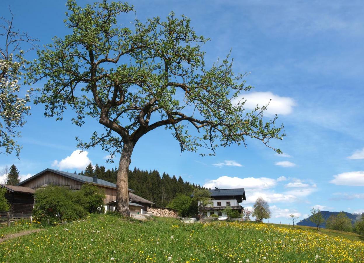 Vila Unterhofgut Goldegg Exteriér fotografie